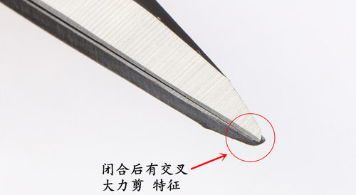 张小泉凹槽剪刀工业大号锰钢裁缝皮革厨房锋利剪子家用剪刀5111A - 图2