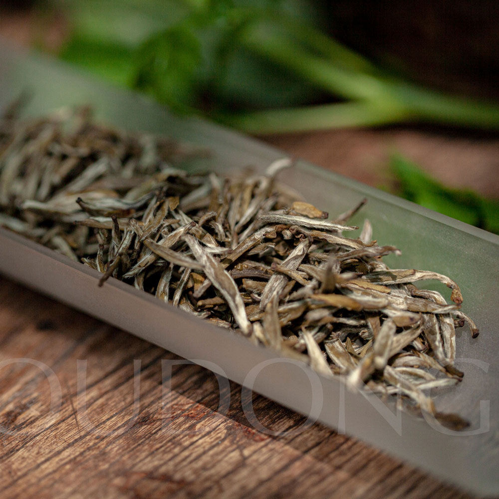 试饮｜九窨针王 单包独立包装4g福州茉莉花茶2024新茶游冬茶,淘宝优惠券,粉丝福利购,淘宝优惠卷