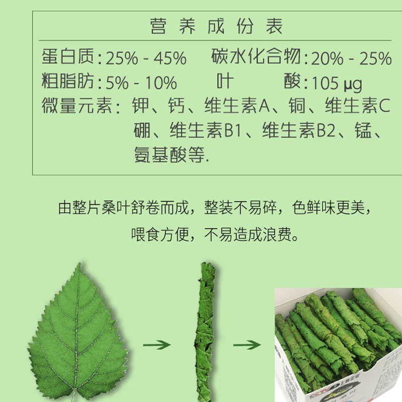 人工摘选新鲜烘干桑叶卷兔子豚鼠龙猫健康零食补充蛋白质营养美毛 - 图0