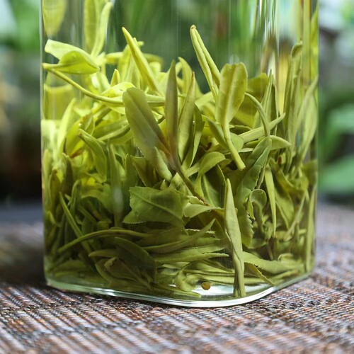 岳西翠兰茶叶2026年新茶茶农直销绿茶高山野茶500g性价比高味道好 - 图3