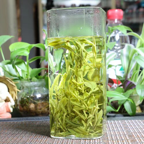 岳西翠兰茶叶2026年新茶茶农直销绿茶高山野茶500g性价比高味道好 - 图1