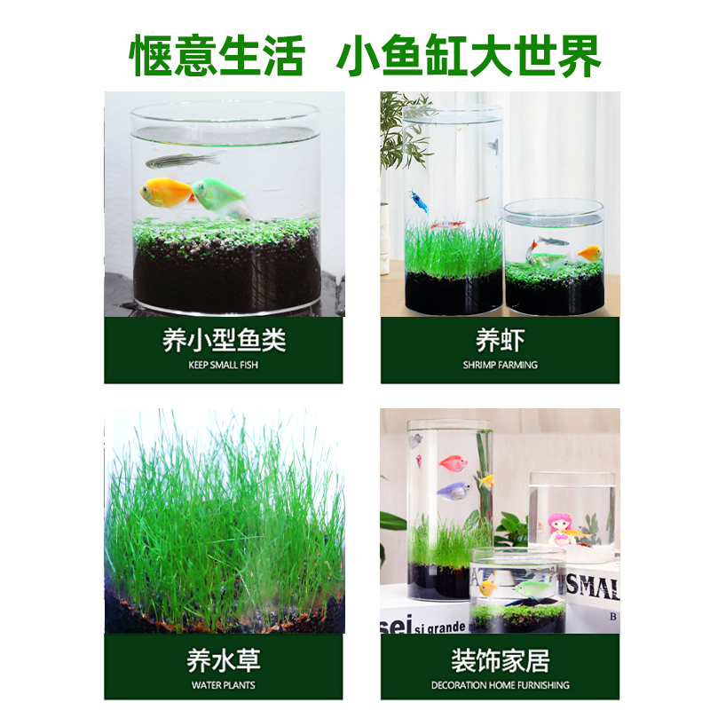 生态瓶水草植物鱼缸种子水培桌面自循环免打理微景观鱼斗鱼玻璃缸 - 图3