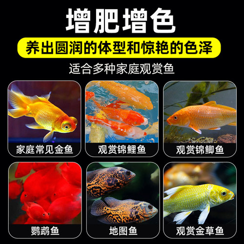 鱼食金鱼锦鲤鱼饲料小颗粒鱼粮观赏鱼家用小金鱼专用鱼料通用鲤鱼 - 图0
