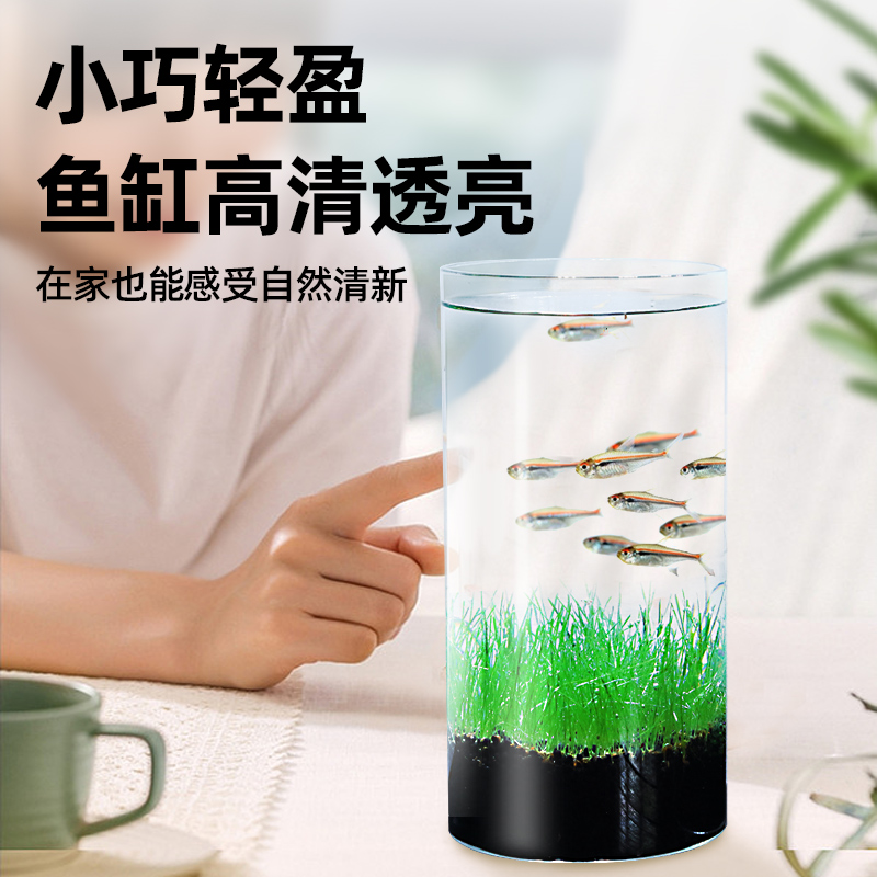 生态瓶水草植物鱼缸种子水培桌面自循环免打理微景观鱼斗鱼玻璃缸 - 图1