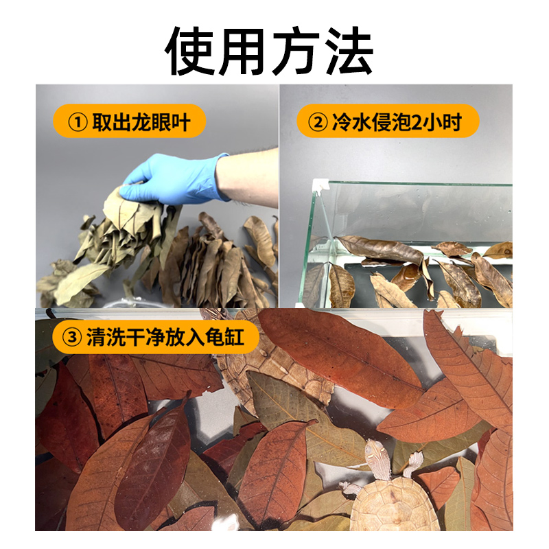 龙眼叶养龟免煮乌龟腐皮烂甲躲避龟用叶子龟缸桂圆叶改善水质造景,淘宝优惠券,粉丝福利购,淘宝优惠卷