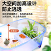 Give away a gift package for raising turtles! Increase the height and prevent escape