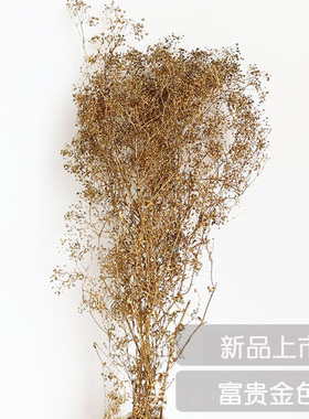 百万星小满天星瑕草干花包梦幻草