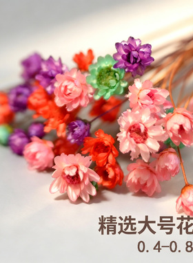 小星花星菊干花包滴胶口红戒指花