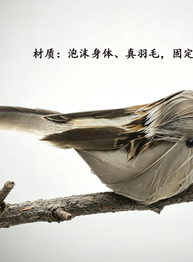 仿真小鸟小麻雀羽毛鸟园林绿化家居装饰工艺品道具微景观拍摄摆件