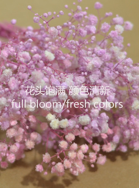 满天星水晶草干花包永生花短枝条