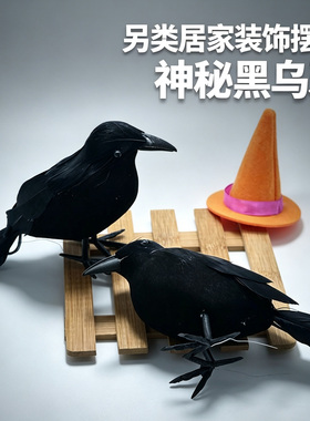 摆件圣诞节万圣节真羽毛仿真乌鸦