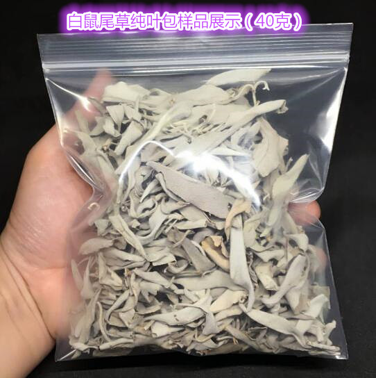 包邮加州白鼠尾草全叶子包完整纯嫩叶无茎杆清理熏房间水晶消磁-图0