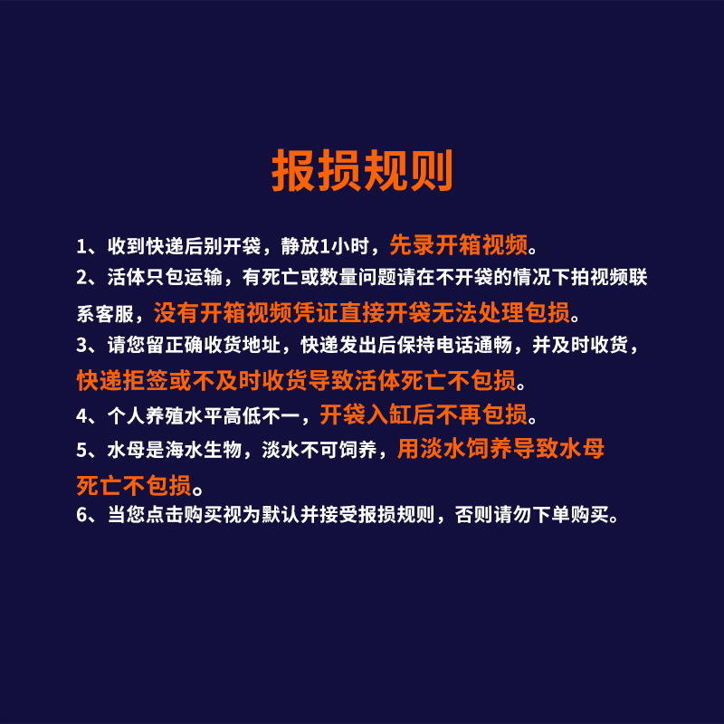 大赤月火箭海水母活物活体小水母缸宠物杯水族大部分省份满50包邮 - 图3