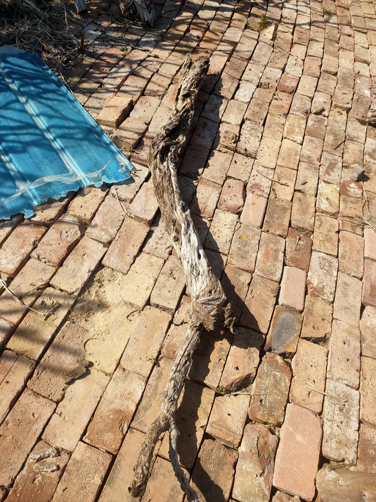 风化木枯木老木料爬宠造景木热带鬃狮蜥蜴守宫睫角蛇攀爬造型树桩 - 图1