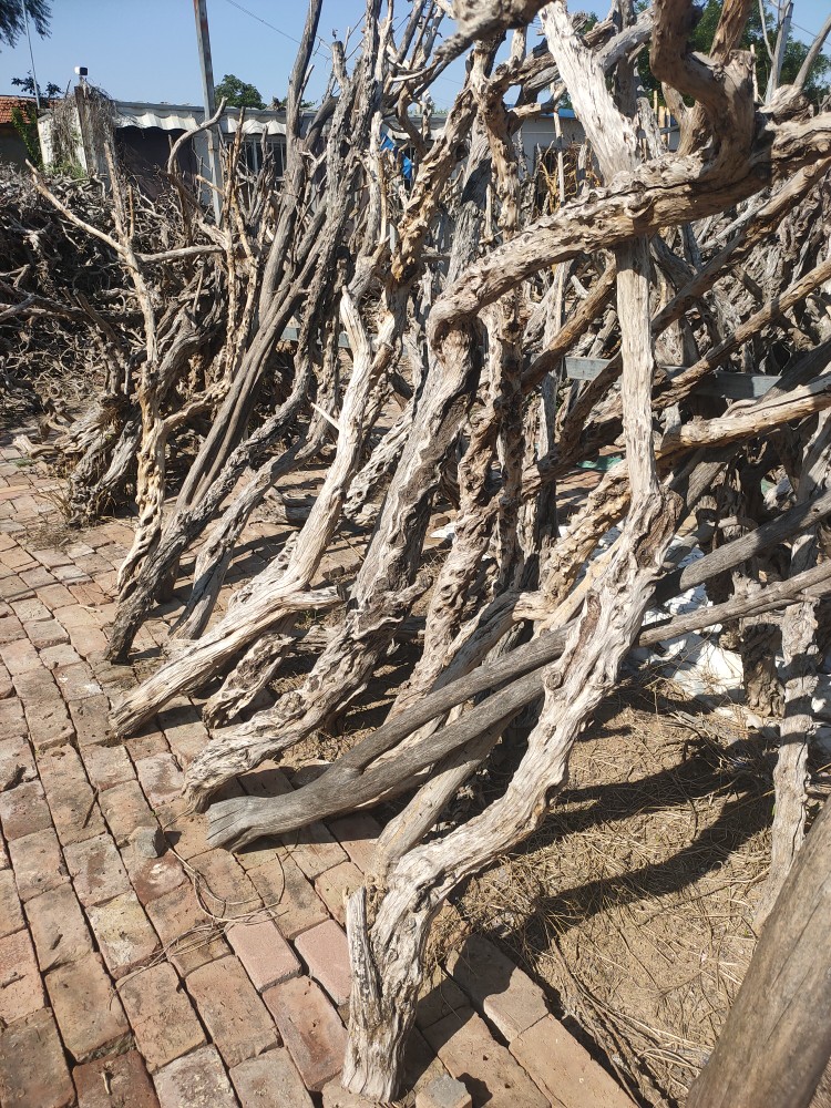 风化木枯木老木料爬宠造景木热带鬃狮蜥蜴守宫睫角蛇攀爬造型树桩 - 图0