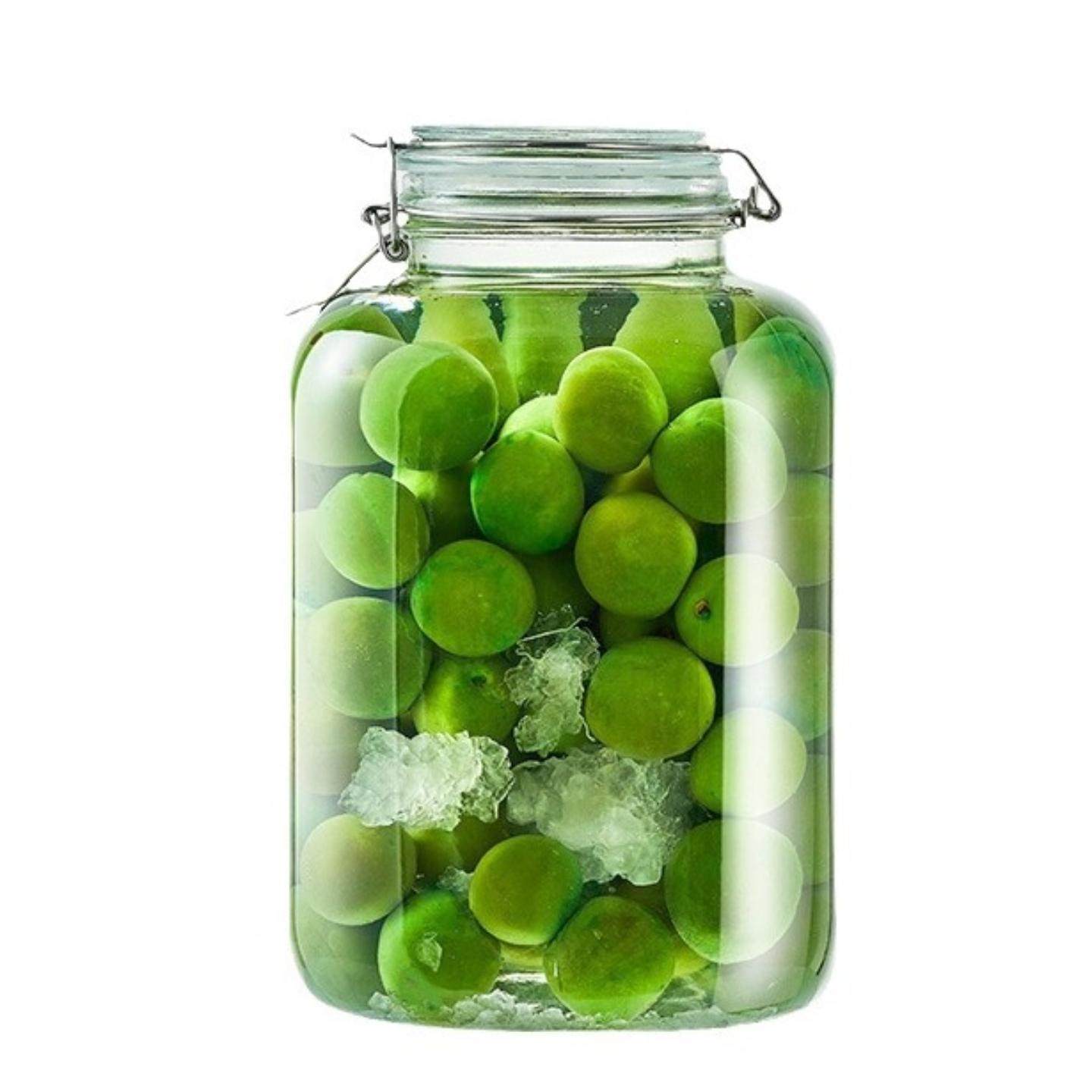 大号泡酒瓶装酒玻璃空瓶防漏专用密封罐食品级人参白酒坛子泡酒坛,淘宝优惠券,粉丝福利购,淘宝优惠卷