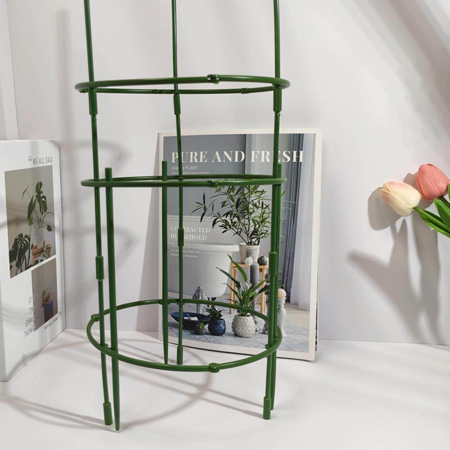 植物支撑杆园艺支架花架爬藤支架室内阳台户外绿萝蟹爪兰固定支架,淘宝优惠券,粉丝福利购,淘宝优惠卷