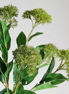 chechel 茵芋仿真绿植浆果美陈花艺配材家居客厅装饰花艺摄影道具