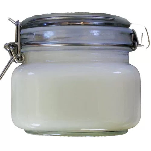 Северо -восток Столетний лес лес