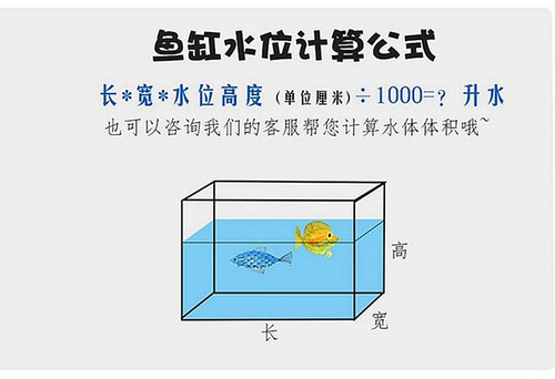 【任意15袋包邮】金滴黄粉肠炎灵神立清粉白点净观赏鱼养鱼常备 - 图1