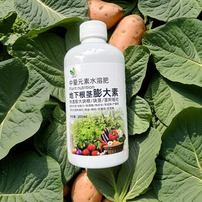 拍1发3果实膨大素地下根茎猛生根膨果红薯生姜花生山药根茎膨大剂,淘宝优惠券,粉丝福利购,淘宝优惠卷