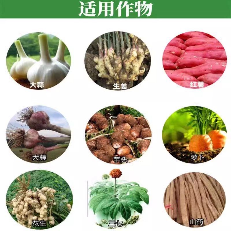 拍1发3果实膨大素地下根茎猛生根膨果红薯生姜花生山药根茎膨大剂,淘宝优惠券,粉丝福利购,淘宝优惠卷