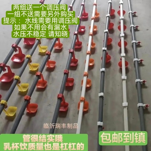 养鸡水线大鸭鸡舍水线25管小鸡6分饮水小鹅喝水养殖料鸭发货到镇 - 图3