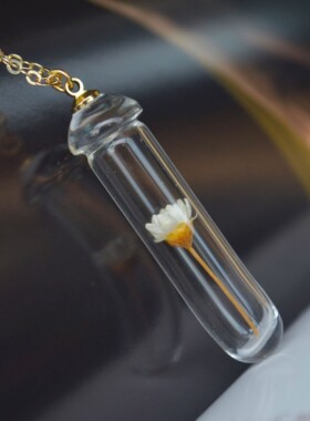 原创雏菊永生花玻璃瓶镀金项链