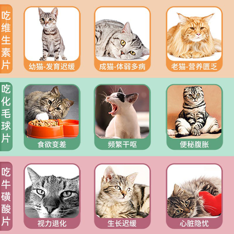 麦德氏猫咪专用化毛球片化毛膏牛磺酸猫草片幼猫营养维生素B猫用,淘宝优惠券,粉丝福利购,淘宝优惠卷