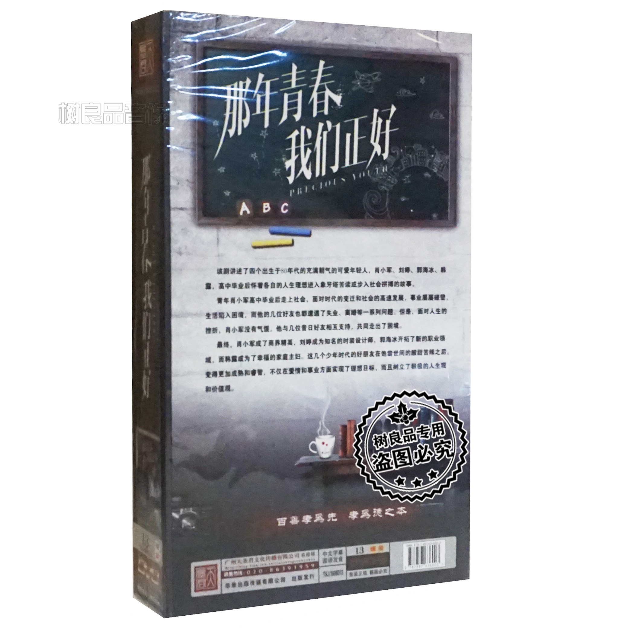 正版电视连续剧 那年青春我们正好13DVD 高清精装版 刘诗诗 郑恺 - 图0