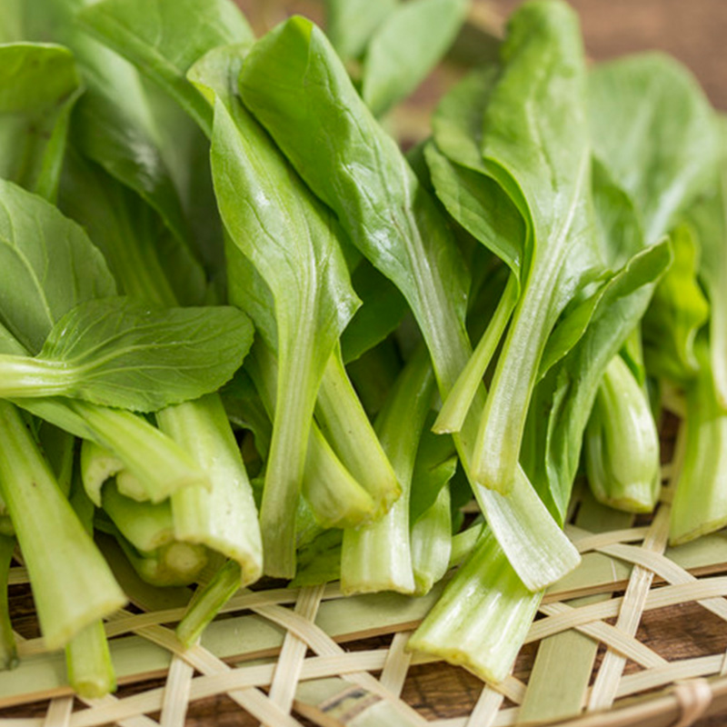 四季播苏州青蔬菜种子上海青油菜籽四季阳台盆栽叶菜小青菜种子 - 图1