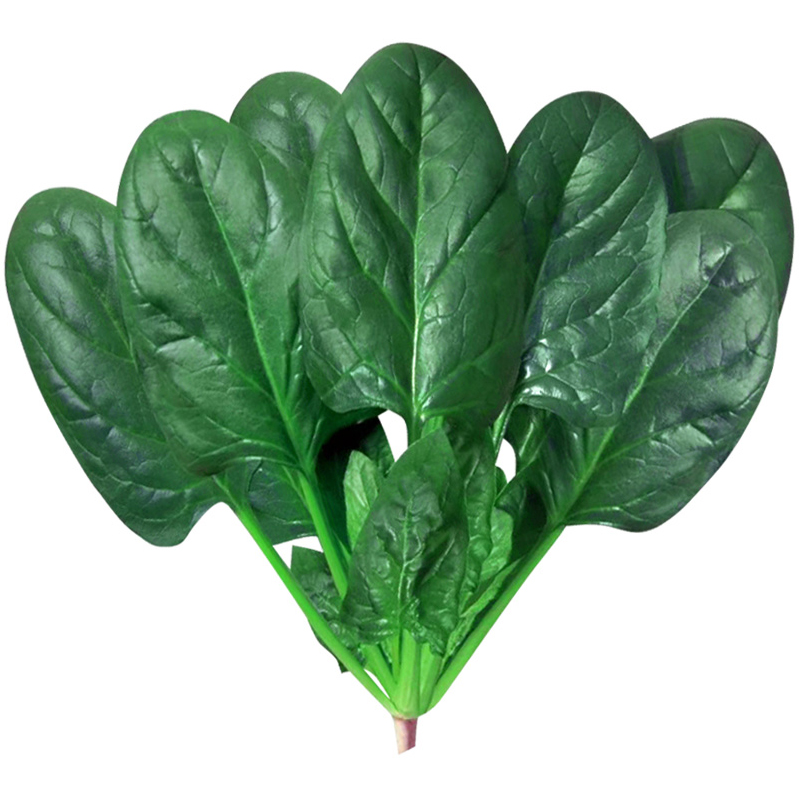 高产大叶菠菜种子冬季耐寒红根圆叶叶肉厚菠菜籽抗寒抗病菠菜籽,淘宝优惠券,粉丝福利购,淘宝优惠卷