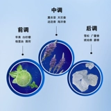 Набор для ухода за кожей, очищающее молочко, комплект, предпродажа