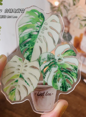 高颜值绿植冰箱贴隐形磁正反可吸