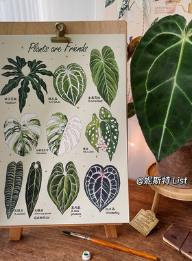妮斯特INS风原创植物客厅装饰画