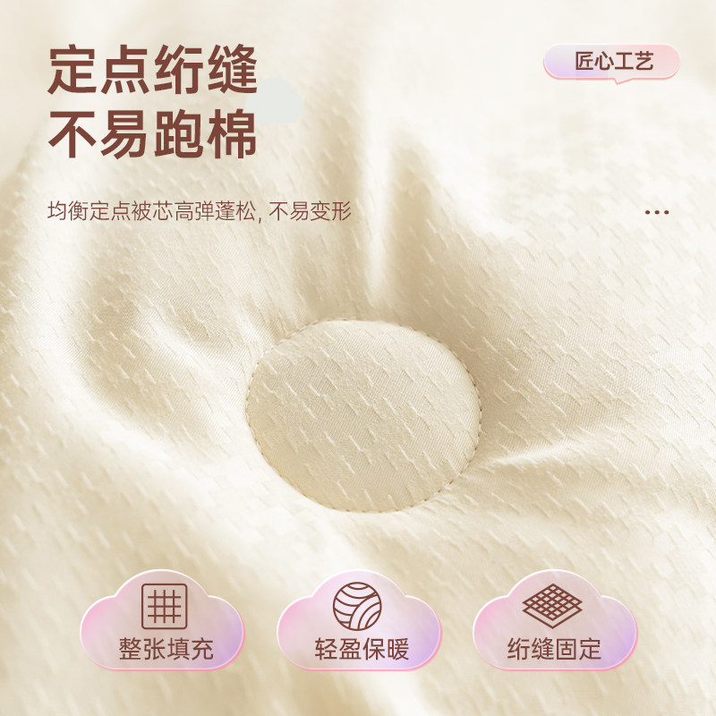 被子冬被棉被芯大豆纤维冬季天春秋单人太空加厚保暖10斤2025新款,淘宝优惠券,粉丝福利购,淘宝优惠卷