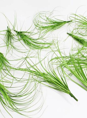 田园单支禾苗茅草 蒲草 大麦麦草仿真绿植植物假绿色芦苇葱草假花