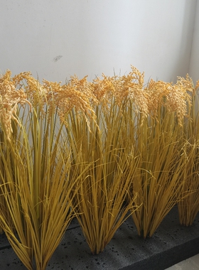 仿真绿色稻谷稻田假稻穗假花大麦穗道具示范田 塑料水稻模型教具