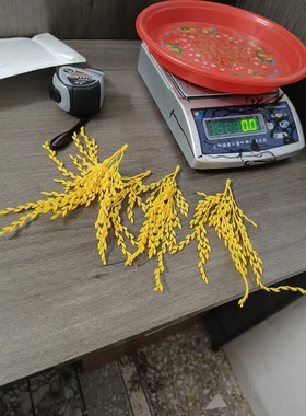 假稻谷谷粒仿真稻穗粒