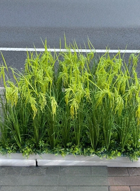 新款稻草仿真绿色假稻谷 道具教具示范田假水稻稻田模型稻穗假花