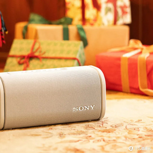 Sony/索尼 ULT FIELD 5 FIELD 3 蓝牙无线音箱便携广场舞音响防水 - 图1