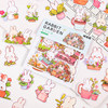 Niwai Bear Rabbit Garden Stickers 70 handbook materials cute flowers and plants cartoon small fresh children's stickers