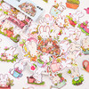 Niwai Bear Rabbit Garden Stickers 70 handbook materials cute flowers and plants cartoon small fresh children's stickers