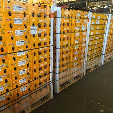 新鲜水果智利雷尼尔黄金车厘子黄樱桃2斤礼盒装4JJJ大果 顺丰包邮,淘宝优惠券,粉丝福利购,淘宝优惠卷