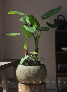 景德镇复古陶瓷盆种植鲜花庭院