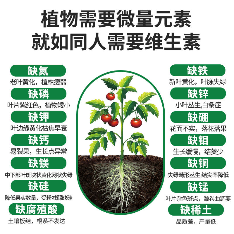 猛生根原液强力生根壮苗剂生根粉液移栽扦插果树花卉通用促生发根