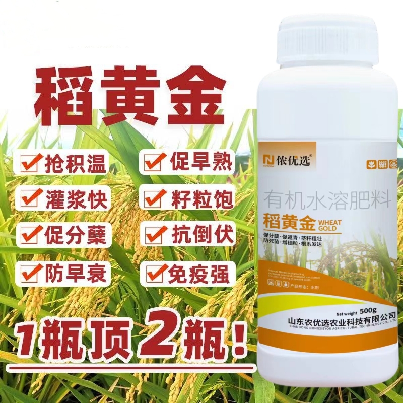稻黄金水稻高产专用叶面肥促分蘖抗病抗倒伏籽粒饱满灌浆增产增收 - 图2