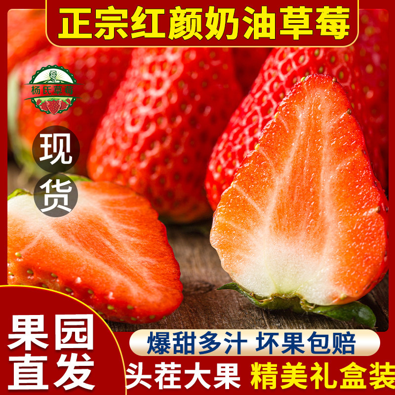 正宗红颜奶油草莓新鲜商用孕妇宝宝水果九九顺丰大草莓同城礼盒装