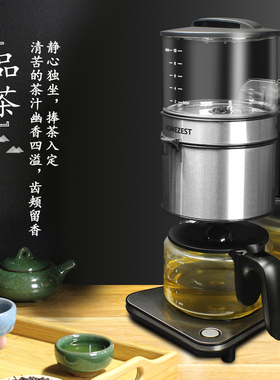 HOMEZEST汉姆斯特茶饮机煮茶器