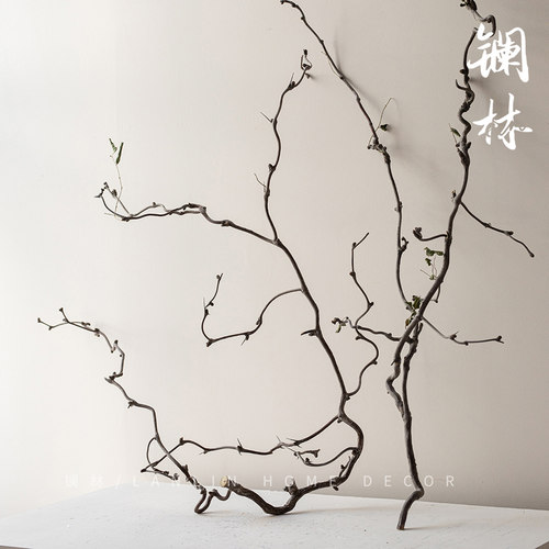 禅意侘寂干花天然干树枝装饰风干弯曲龙爪插花造景枯枝仿真龙枣枝 - 图2